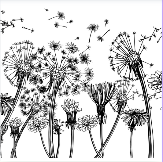 Dandelions